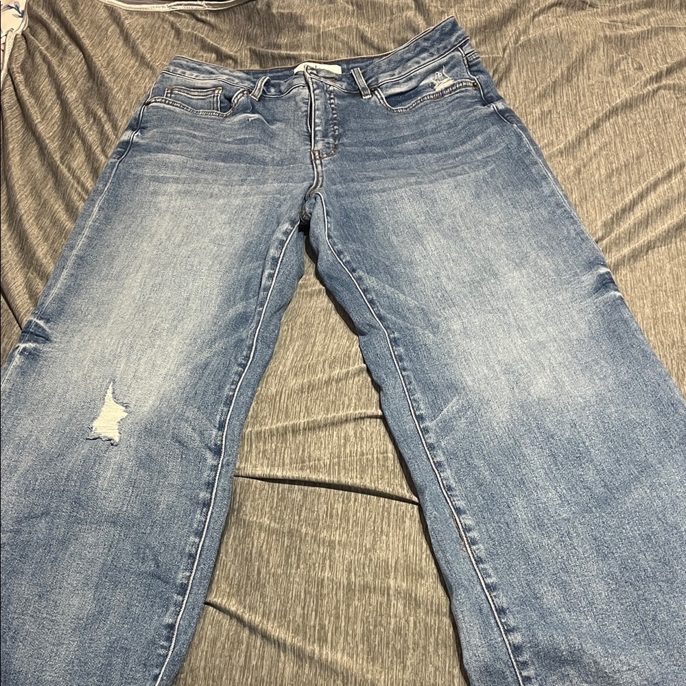 Stylish Light Blue Boyfriend Jeans